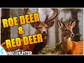 Hunting Roe/Red Deer In Way of the Hunters Most Hated Map