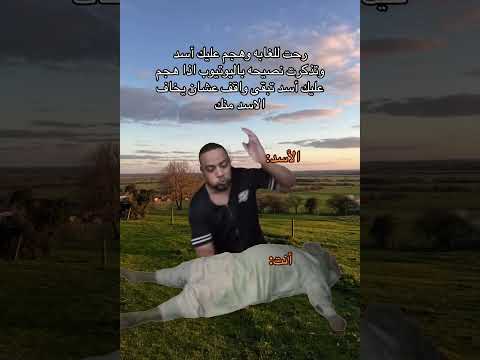 هههههههههههه   عبارات     اقتباسات لايك