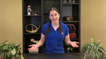 MicroSafari | K-3 -- 2022 April Vacation Programs