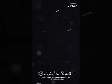 اللهم بحق محمد وآل محمد ان تغفر لنا وترحمنا يارب العالمين