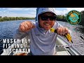 Musky fly fishing wisconsin