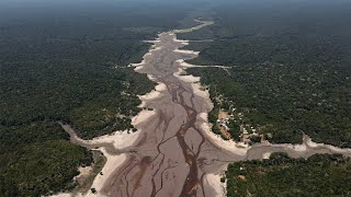 Амазонка стремительно высыхает. Небывалая засуха оставила бразильский Манаус без воды