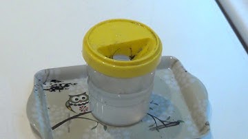 How to take care of nibs