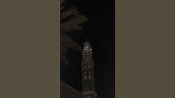 تلاوات رائعة