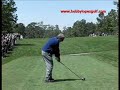 Golf Swing Analysis Online Fuzzy Zoeller PGA