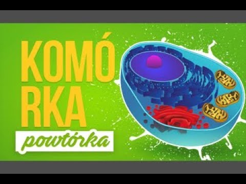 Wideo: Różnica Między Komórką Jednostkową A Komórką Pierwotną