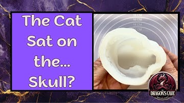 A Skeletal Cat - on a skull!