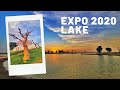 Expo 2020 Lake | Dubai | UAE | Man-made Lake | Arabian Oryx | 4K| Cinematic  | Photography | Evening