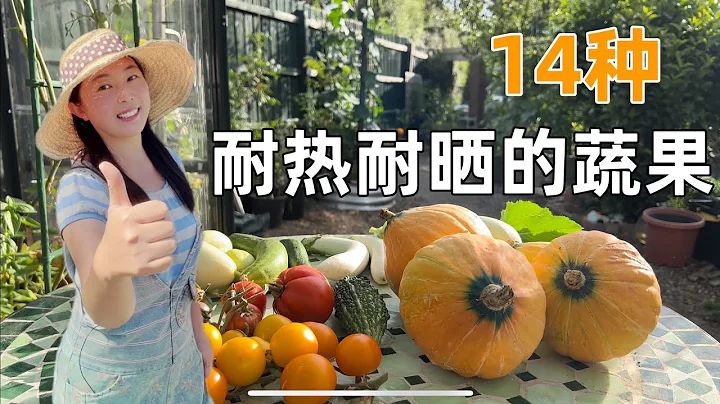 【種植68】14種耐熱又耐曬的蔬菜水果，第一名原來是它！炎炎烈日也能豐收！14 heat-resistant vegetables and fruits can grow in full sun - 天天要聞