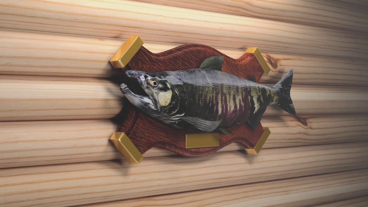 MainStream Fishing Trailer YouTube