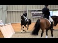 Steffen Peters&#39; warm up festival of champions