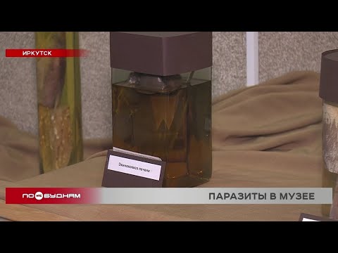 Музей паразитов Музей паразитов