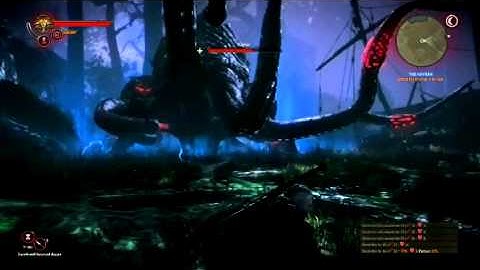 The Witcher 2 PC Kayran Fight in Hard Mode
