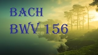 Bach - Ich Steh Mit Einem Fuß im Grabe, BWV 156 ( One Hour)
