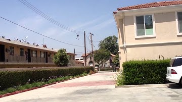 Walkera Mini CP brushless mod with dual tail setup