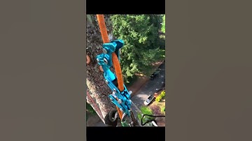 Speedline vs free drop