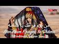         من يوم فراقك يا شامة