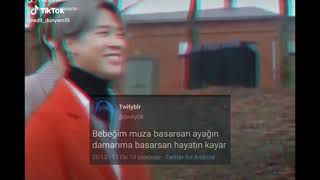 Twitter Videoları