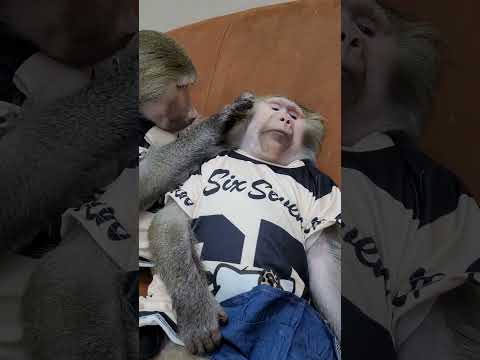 Новая техника ! Пользуйтесь!🤣