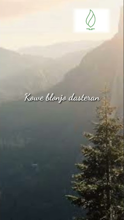 Story WA Mendung Tanpo Udan 30 detik