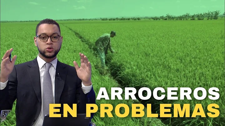 En algunos meses seramos dependientes del arroz de...