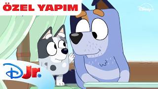 Düüüt Bluey