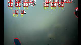 SeaGrassDetect: A novel method for detection of seagrass from unlabelled under water videos