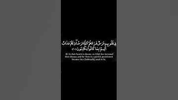 آية10 من سورة البقرة|سورة البقرة مقسمة آية بآية|