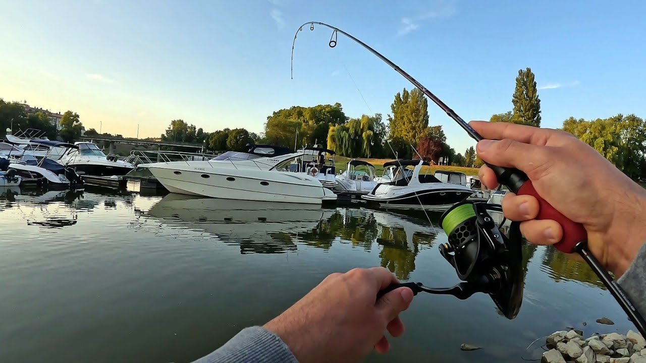 Ultralight sügér pergetés - A KIKÖTŐ SÜGEREI