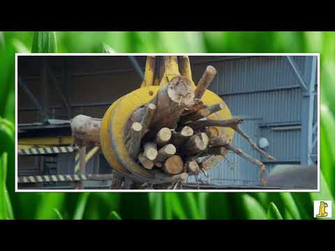 Danese and Ranzato | Wet Blue Shavings and Trimmings Recycling