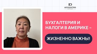 Бухгалтерия и налоги в Америке - жизненно важны!