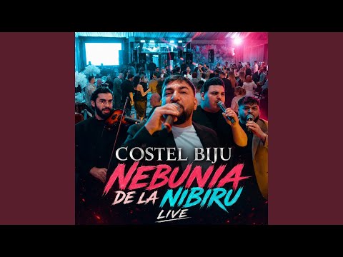 Nebunia de la Nibiru (Live)