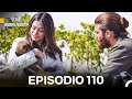 Série Madrugador Episódio 110 | Dublagem em Português 🎬