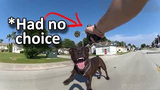 When Officers Were Forced to Shoot @mrjusticestory