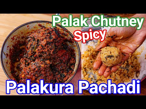 Palak Ki Chatni - Palakura Pachadi Andhra Style  Multipurpose Spinach Chutney for Rice, Idli  Dosa