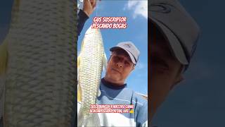 Pesca Bogas Suscriptor Gus