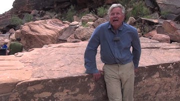 Depositional environment of each layer