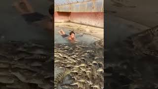 Legendary Kid Swims with Hundreds of Nile Crocodiles screenshot 4
