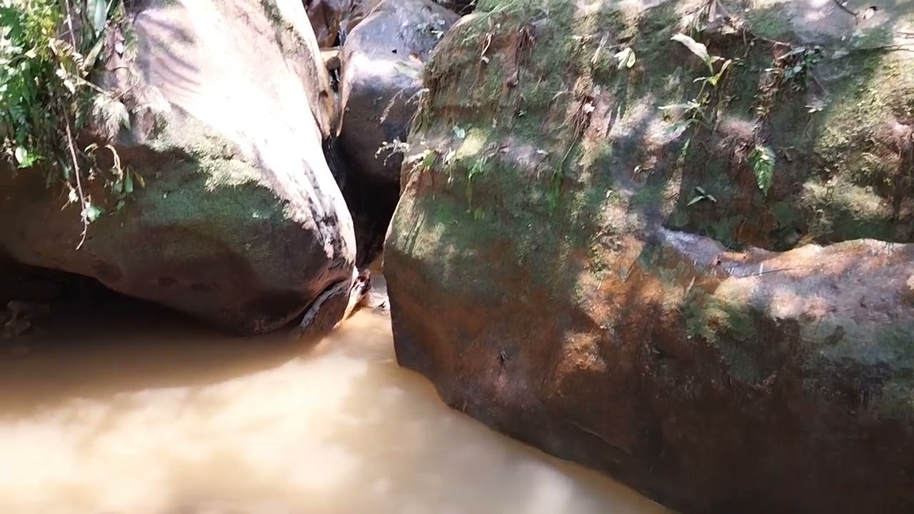 muddy river, preserve wildlife and the environment.