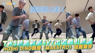 【撩星聞】滿滿新人美！ TWS熱跳前輩SVT出道曲引熱議  HOSHI、DINO親授〈MAESTRO〉超難舞步