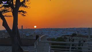 Peaceful Park in Malta 🇲🇹 / Sunset 🌅