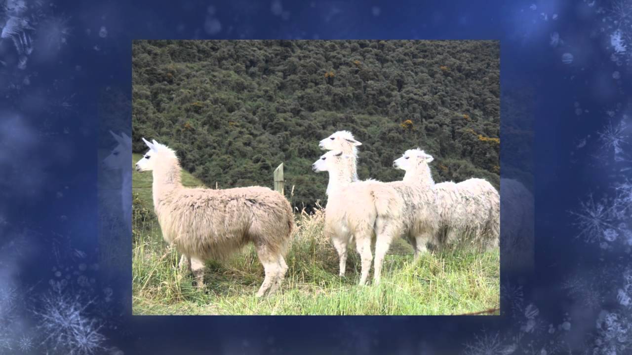 PAPALLACTA HOT SPRINGS