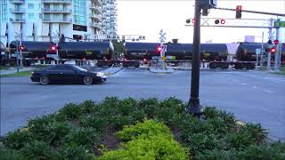 Downtown Hollywood Brightline and FEC Railfanning