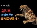 검치호, 스밀로돈은 왜 멸종했을까? (Feat.고양이과의 진화)