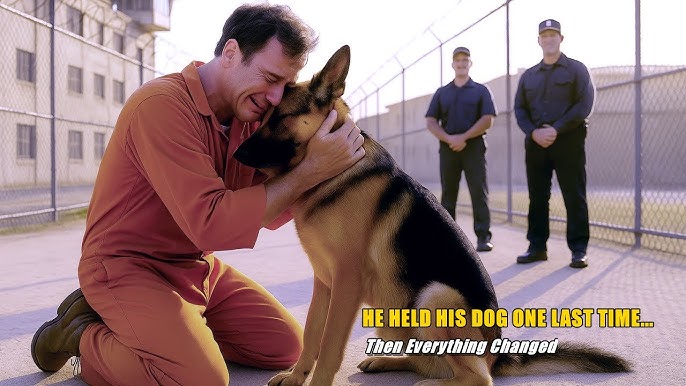 A Prisoner’s Final Wish Was to See His Dog Again... What Happened Broke  Everyone’s Heart