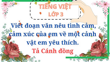 Viết đoạn văn nêu tình cảm, cảm xúc của em về một cảnh vật em yêu thích - Tả Cánh đồng - Lớp 3