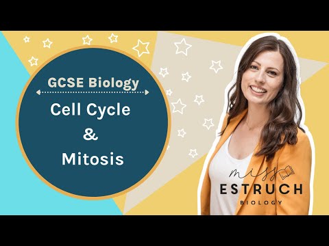 What Goes On When Mitosis Goes Completely Wrong?