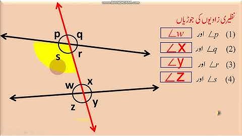 8th Maths chapter 2 Parallel lines and transversals exercise 2.1متوازی خطوط اور تقاطع Video 2