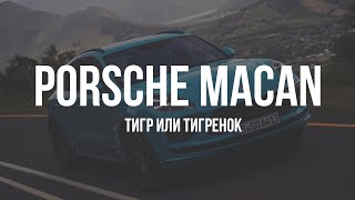 Porsche Macan: тигр или тигренок? // PashaZab