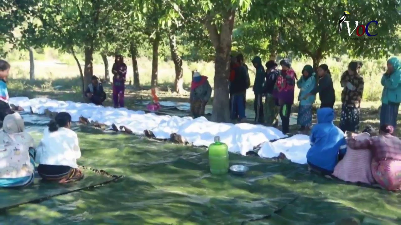 VOC Burmese News (January 15, 2026)